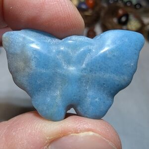Trolleite Butterfly
